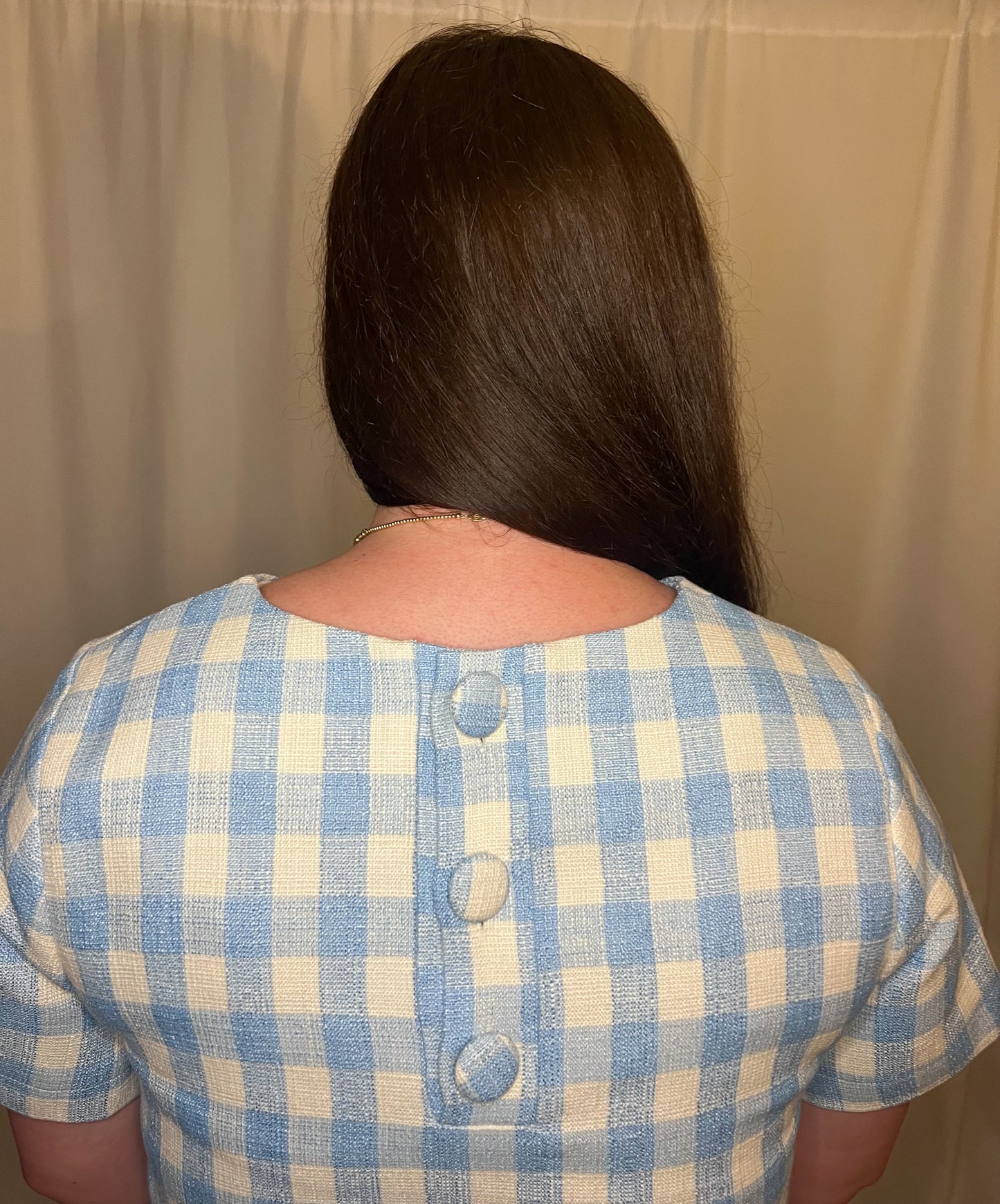Blue gingham dress